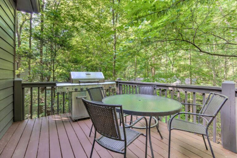 Big Canoe Rentals - Hibernation Station - Exterior