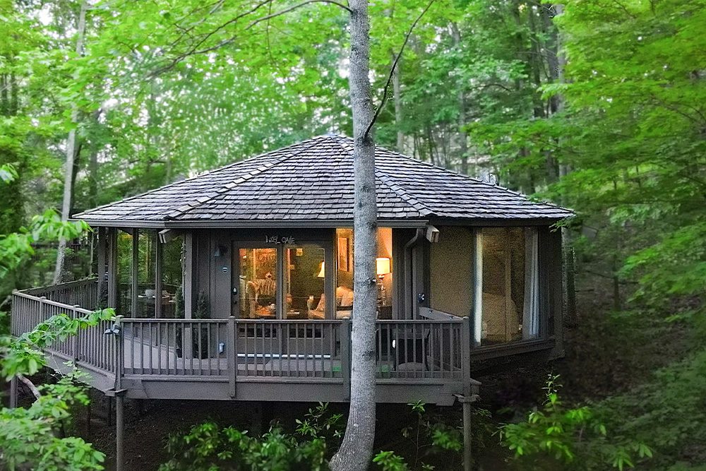 Big Canoe - Treehouse of Life - Featured
