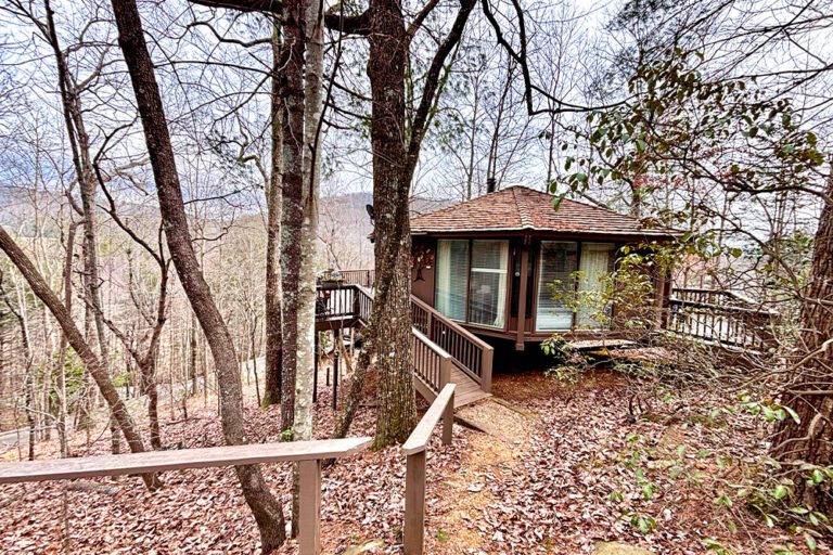 Big Canoe - Treehouse Mountain - Temp Featured