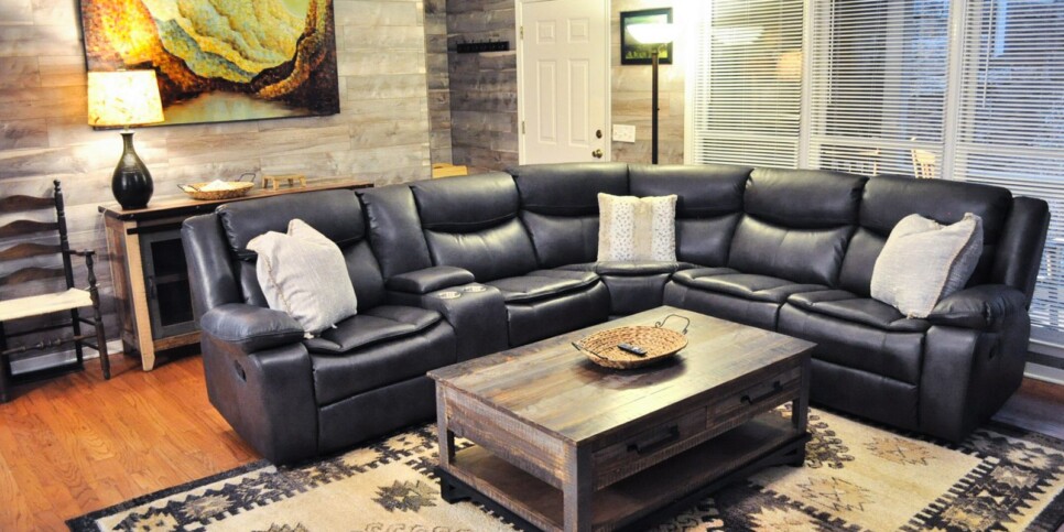 big canoe hibernation station living room