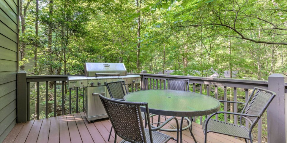 Big Canoe Rentals - Hibernation Station - Exterior